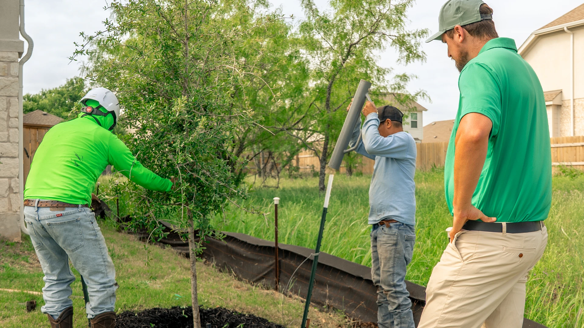 Greater Austin Tree Planting | Certified Arborists - Tree Scouts
